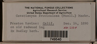 Image Associated With the Occurence